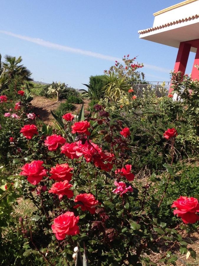 Casa Vacanze Surriano 夏卡 外观 照片