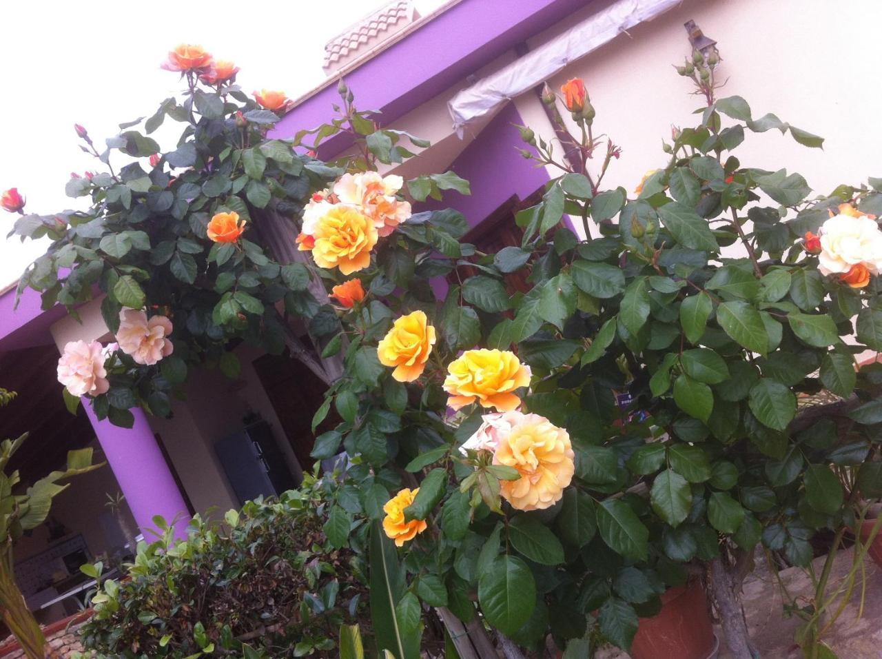 Casa Vacanze Surriano 夏卡 外观 照片