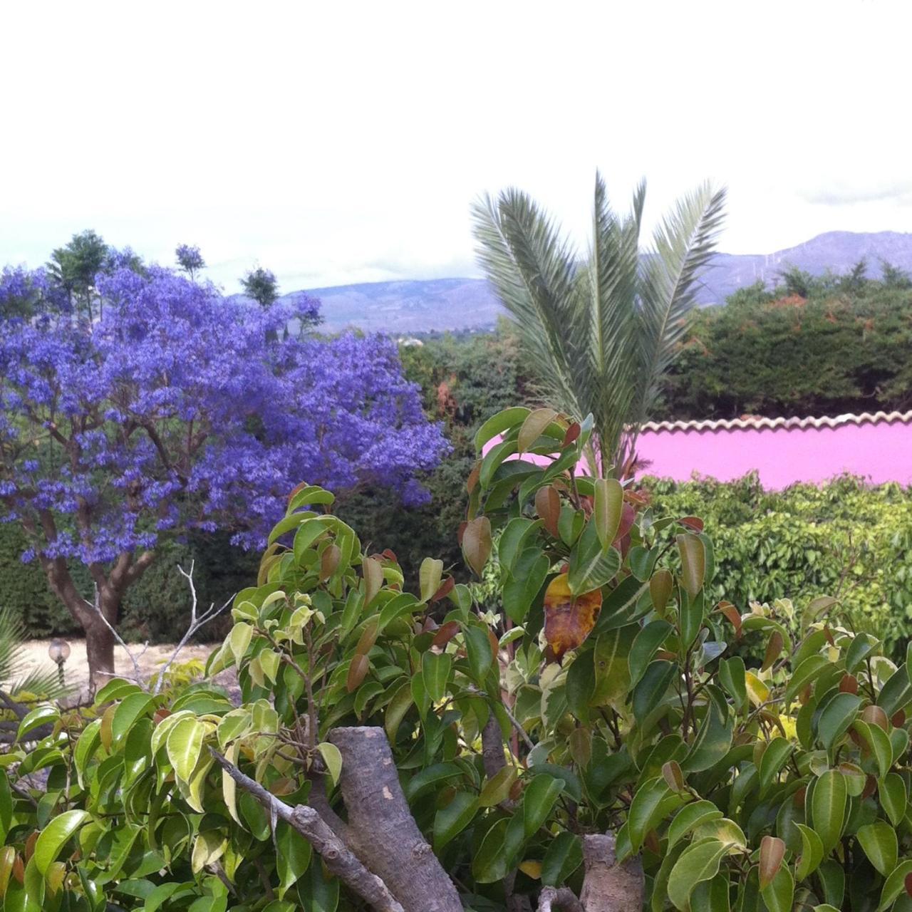 Casa Vacanze Surriano 夏卡 外观 照片